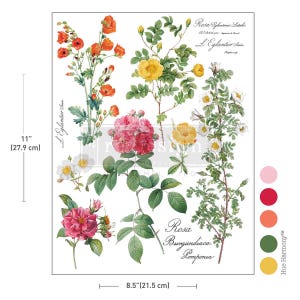 May include: A botanical transfer sheet with rose illustrations in pink, yellow, and orange, with green leaves. The sheet is 27.9 cm high and 21.5 cm wide, featuring text such as "Rosa" and "L'Eglantier".