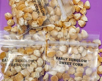 May include: Four clear plastic bags filled with small, light brown corn seeds. Each bag has a label that reads "Early Sunglow Sweet Corn".