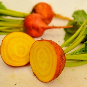 Detroit Golden Beet Seeds, Heirloom, Cool Season Vegetable, Sweeter Than Red Beets