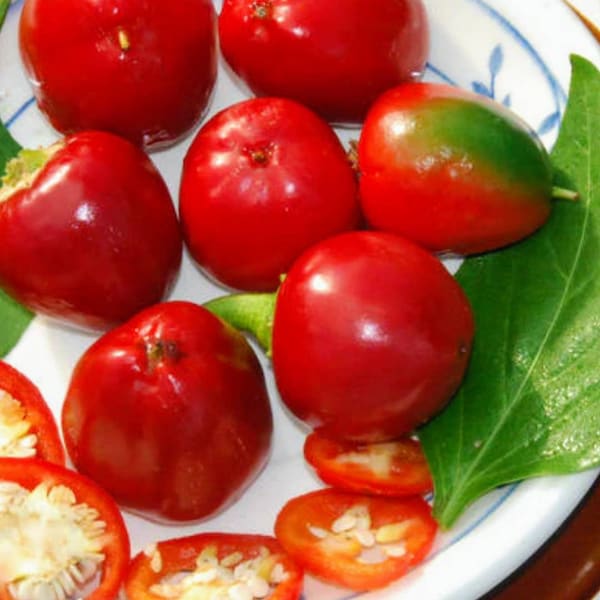 Red Cherry Sweet Pepper Seeds, Heirloom, Compact, Container Friendly, Perfect for Pickling