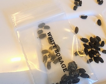 White Borage Seeds, Heirloom Cucumber Scent, Edible Blooms