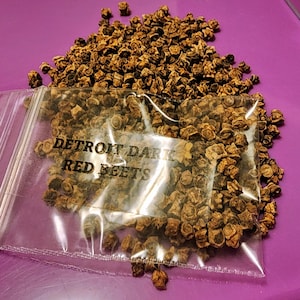 Detroit Dark Red Beet Seeds, Heirloom, Cold Hardy,