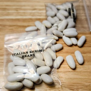 Italian Shrimp Bean Seeds, Heirloom Pole Beans, Stringless
