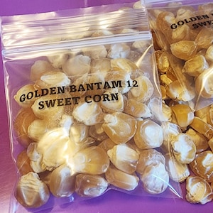 May include: A clear plastic bag filled with golden sweet corn kernels. The bag has a label that reads "Golden Bantam 12 Sweet Corn".