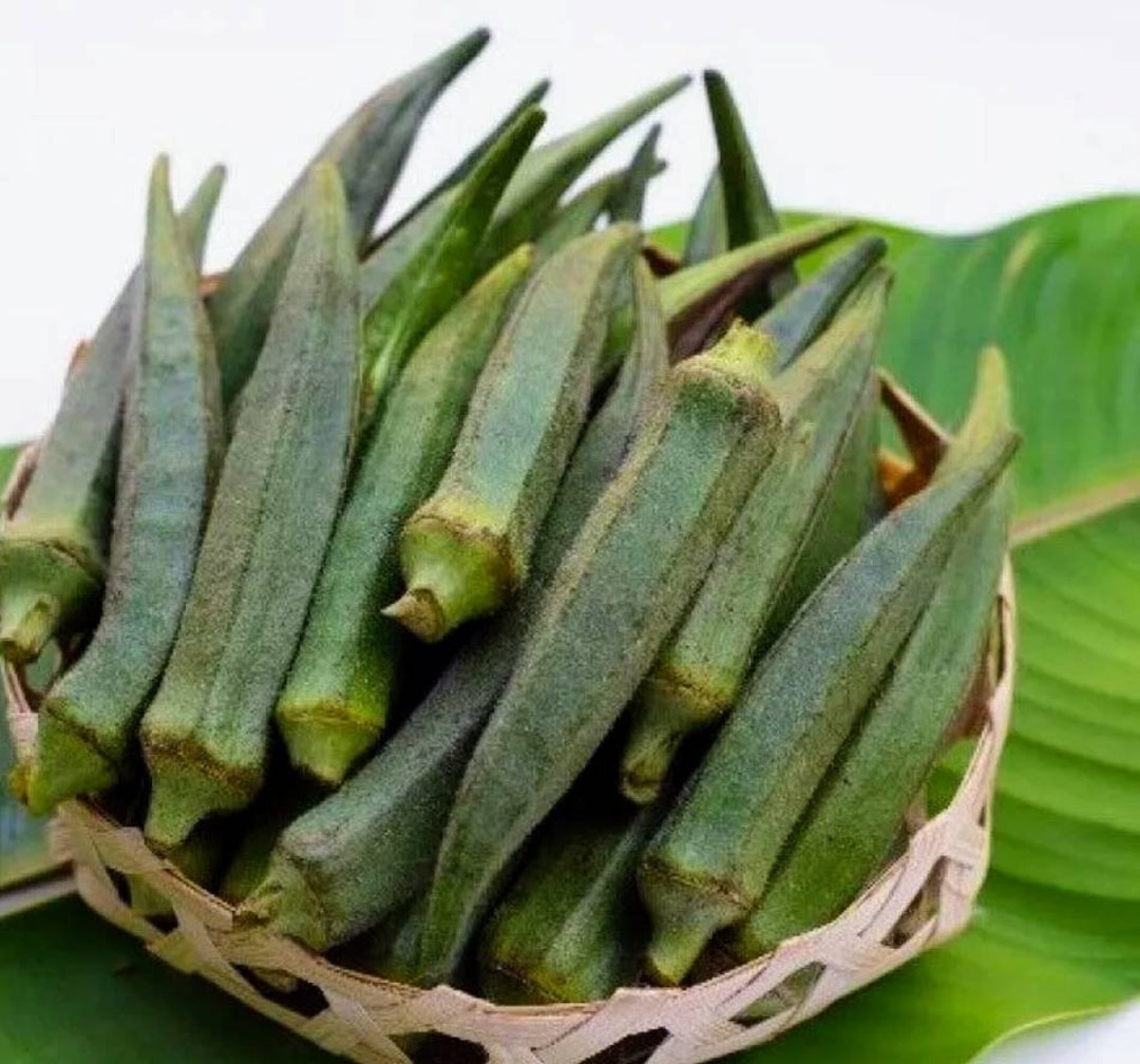 Organic Nkruma Tenten Okra Seeds Heirloom Tree Okra West Etsy