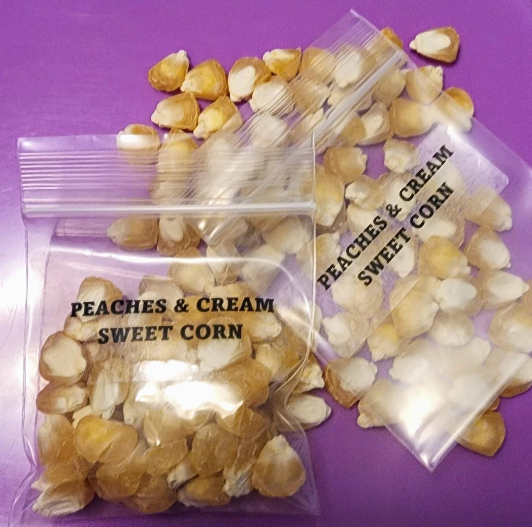 Stunning Peaches And Cream Corn Seeds Pictures