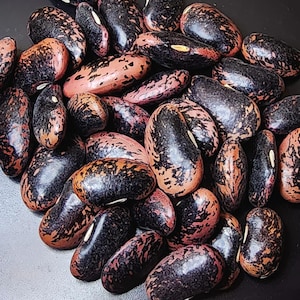 Scarlet Emperor Runner Bean Seeds, Heirloom Bean Seeds, Tender & Delicious, Edible Ornamental, Attracts Hummingbirds