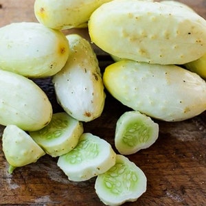 Heirloom Salt and Pepper Pickling Cucumbers Seeds, Powdery Mildew Resistant, Perfect for Patios and Containers,