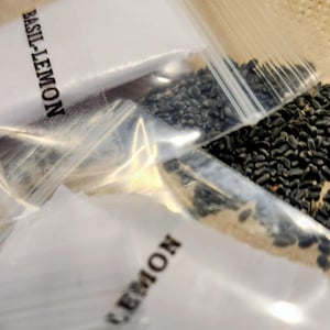 Heirloom Basil Seeds, Lemon Basil, Container Friendly, Culinary and Medicinal Uses