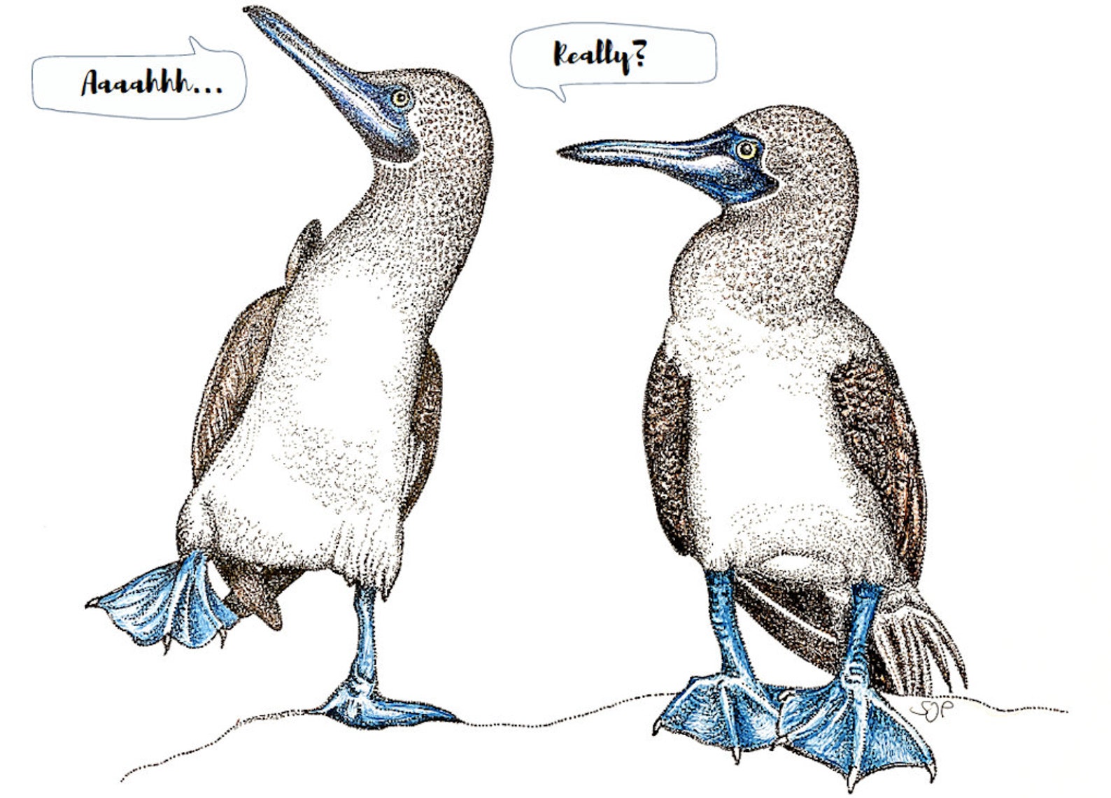 booby-relief-printable-blank-greeting-card-etsy