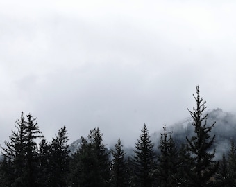 Wasatch National Forest in the Fog - Utah Landscape - Rocky Mountains - Mount Timpanogos - Photography Print - Fine Art Wall Decor