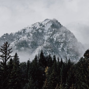 Wasatch National Forest - Utah Landscape - Rocky Mountains - Mount Timpanogos - Photography Print - Fine Art Wall Decor