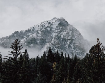 Wasatch National Forest - Utah Landscape - Rocky Mountains - Mount Timpanogos - Photography Print - Fine Art Wall Decor