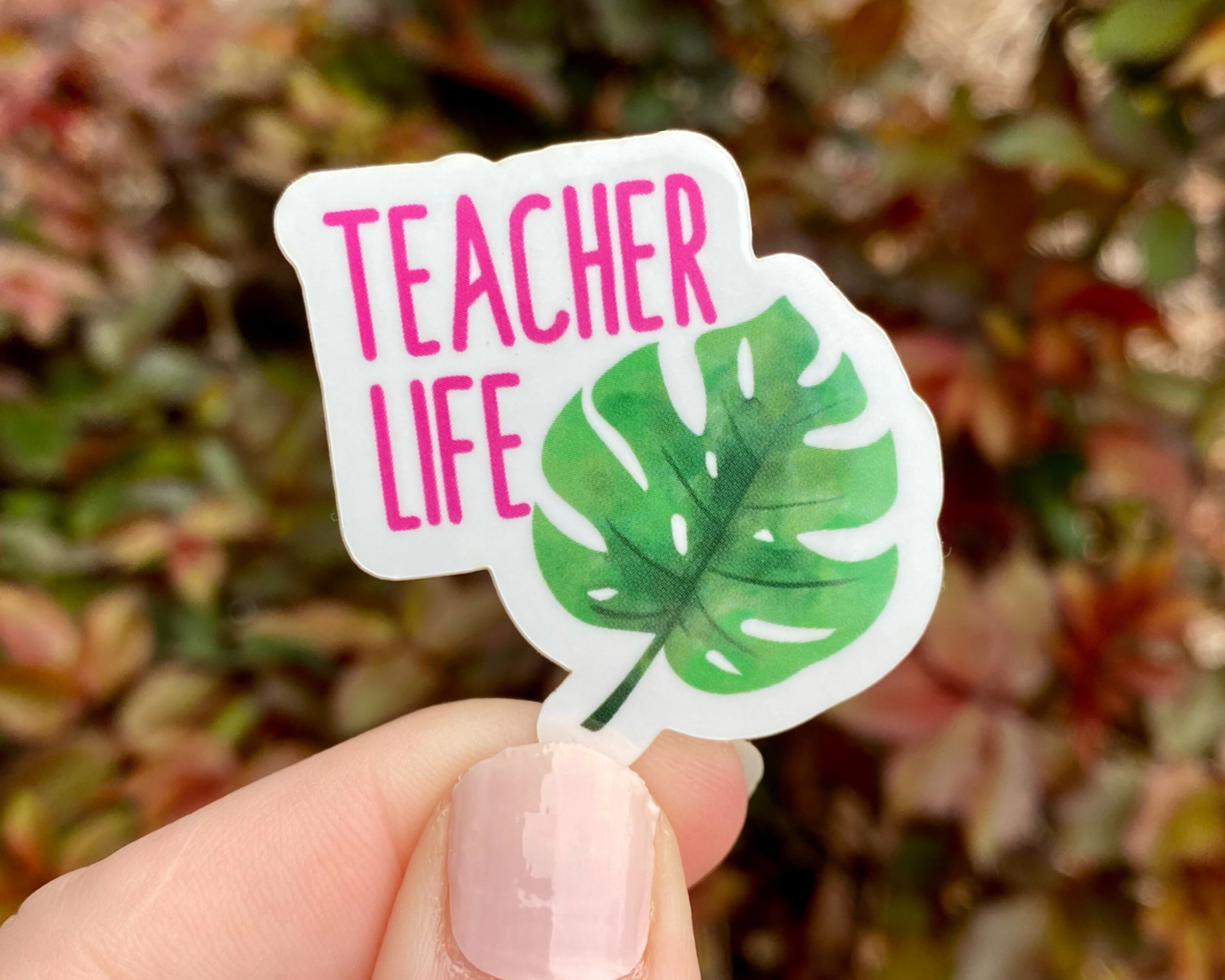Educator teacher sticker pack vinyl stickers Etsy