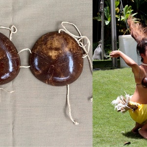 SALE Teens & Adult MULTI-TONE Regular Coconut Bra or Bikini Top Only. for  Tahitian and Cook Islands Dancers, Luau, Polynesian Party, Beach. 
