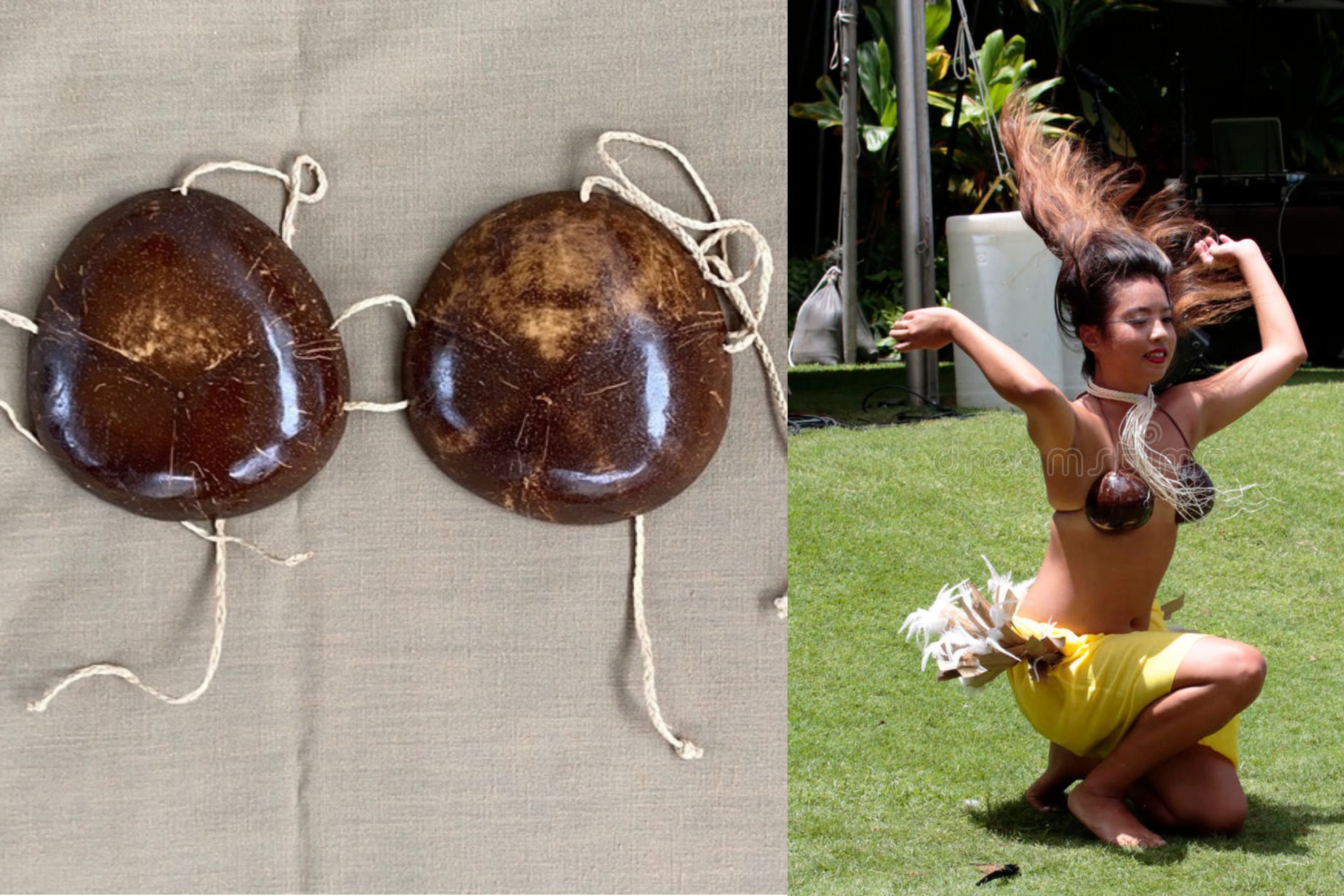 4 Pcs Coconut Bra Hula Skirt Set Coconut Bra and Grass Skirt Coconut Bra  Adult Size Flower Waist Grass Skirt Coconut Shell Bra Bikini Hawaiian