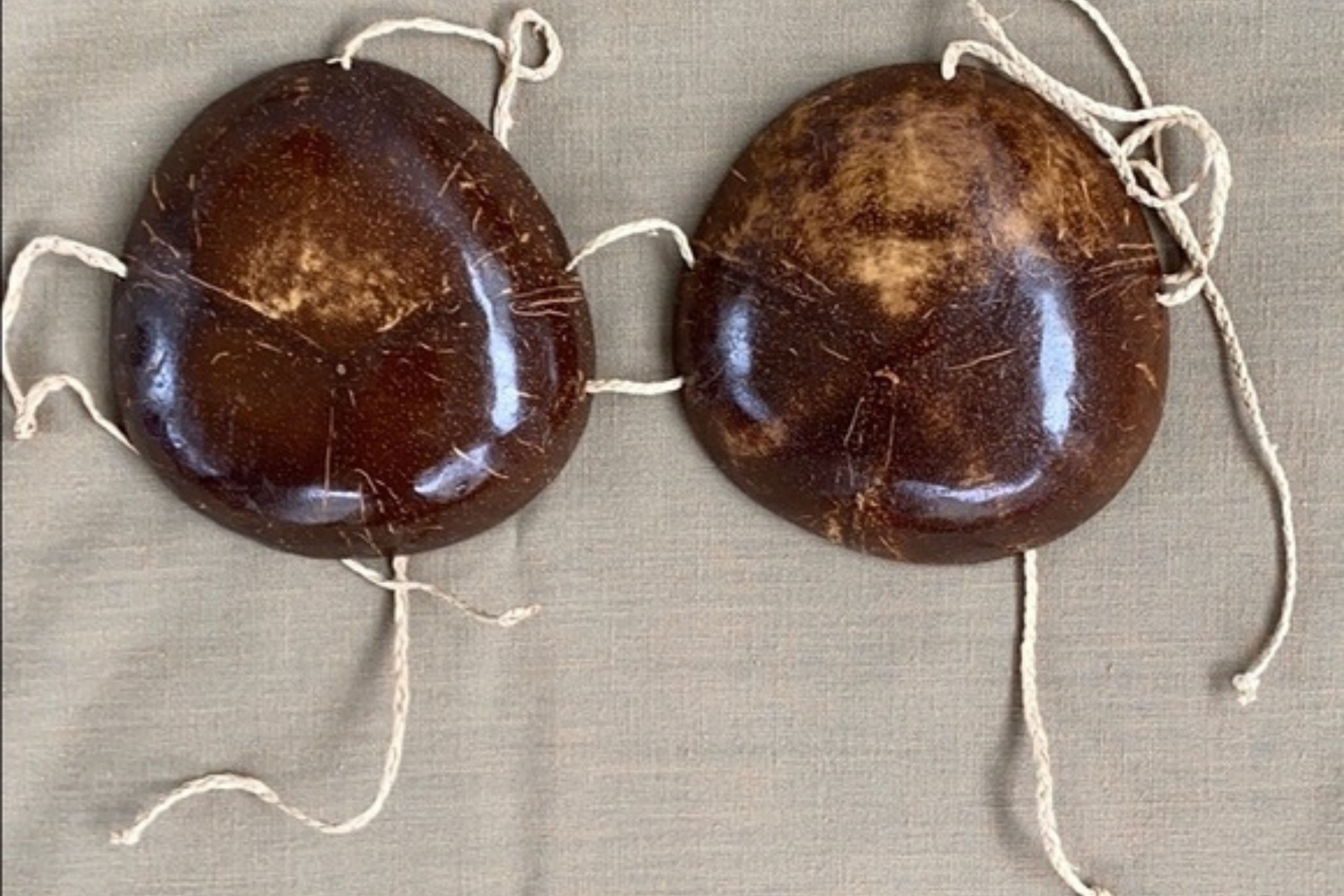 89 Coconut Bras Stock Photos, High-Res Pictures, and Images