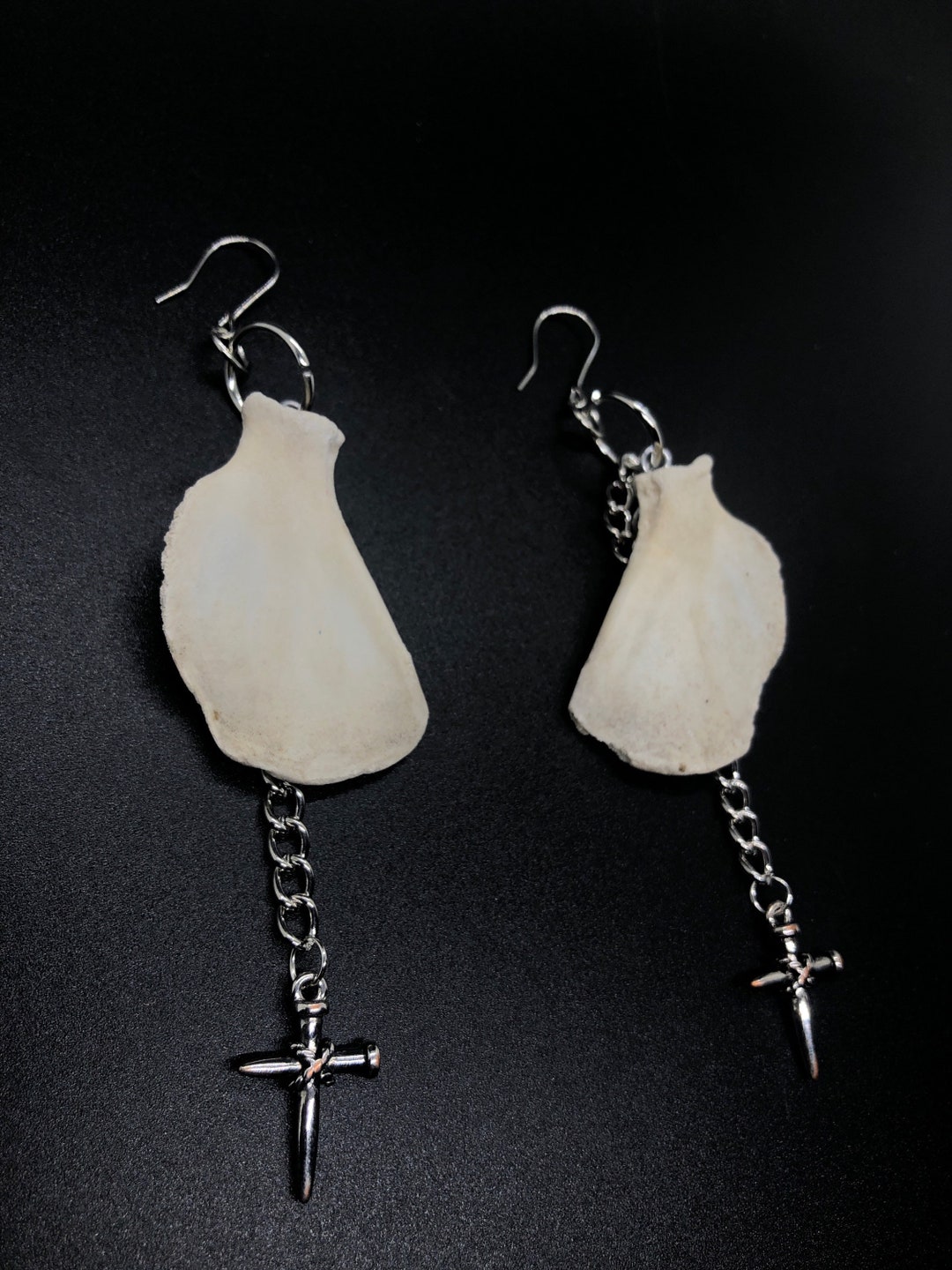 Raccoon Scapula Earrings Taxidermy Oddity Gothic Jewelry Etsy