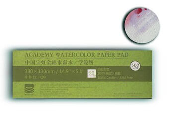 Baohong Academy Watercolor Pad Review (First Time Painting With It