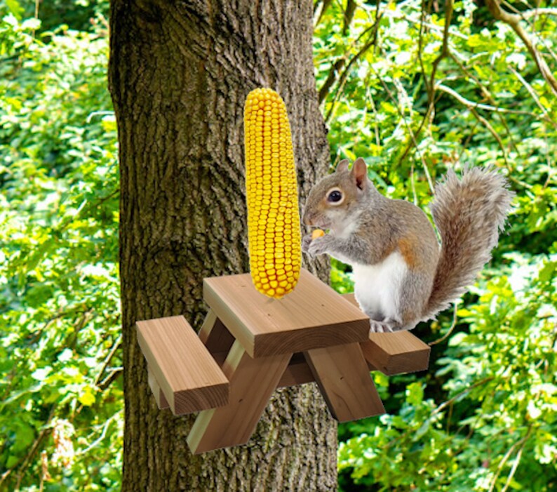 Squirrel picnic table feeder blackberryholoser