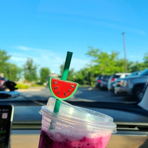 Watermelon Straw Topper | Straw Charm | Straw Buddy