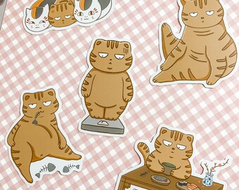 Vinylsticker Taro the Cat: laptopsticker Grumpy Orange Cat