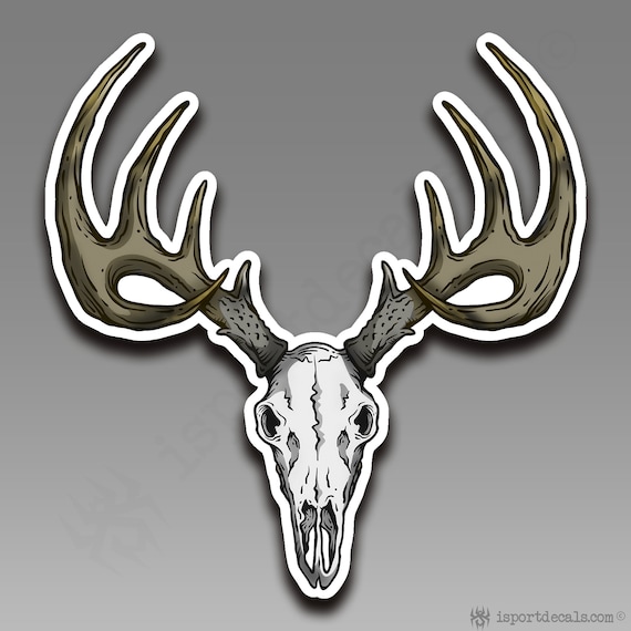 Deer Skull Rustic 12 Point Buck Skull Trophy Antlers Hunter