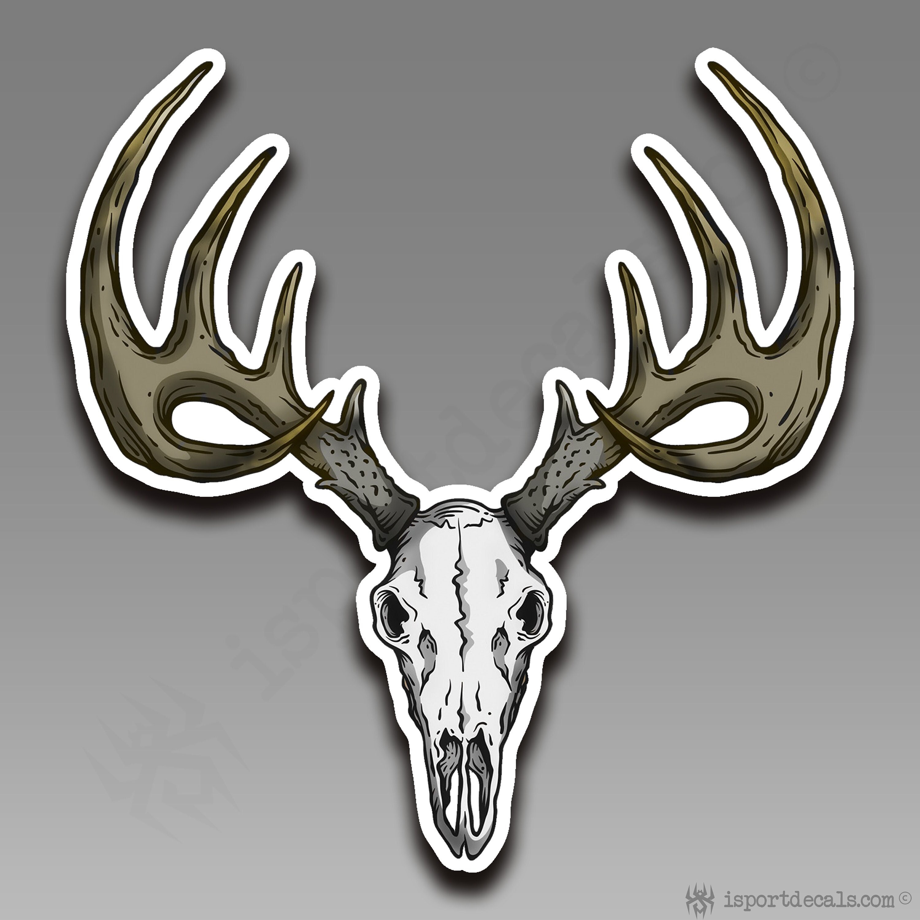 蝦夷鹿hunting trophy（deer skull） 612fFCp9WkL._UF894,1000_QL80_.jpg
