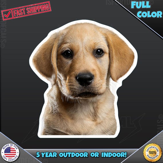 Dog Stcker Golden Retrever Car Decal Bumper Wndow Stcker - Etsy