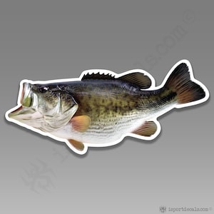 Bass Fish Fisherman Fishing Angler Sportsman Car Vinyl Decal Sticker 224