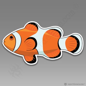 Clownfish Car Decal: Nemo Fish, Saltwater Reef Vinyl Sticker