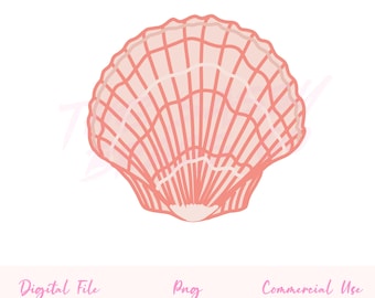 Hand-drawn Seashell Clipart, Beach summer PNG (Digital Download)