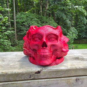 May include: A red skull planter with intricate details and a textured surface. The skull has a detailed face with eyes, nose, and mouth.