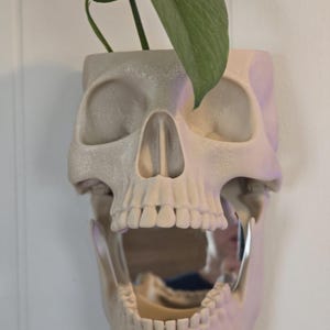 Skull wall planter with optional mirror *customizable* 3d printed