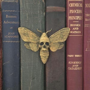 May include: A detailed, golden-colored moth with a skull-shaped head rests on a collection of vintage books. The books have titles like "Boston Adventure" and "Chemical Process Principles."