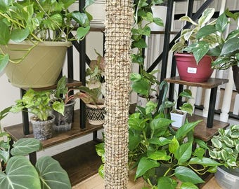 36 Inch Pre-Filled Sphagnum Moss Pole | Stackable Plant Support for Climbing Monstera, Philodendron