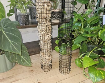 18 Inch Pre-Filled Sphagnum Moss Pole | Stackable Plant Support for Climbing Monstera, Philodendron