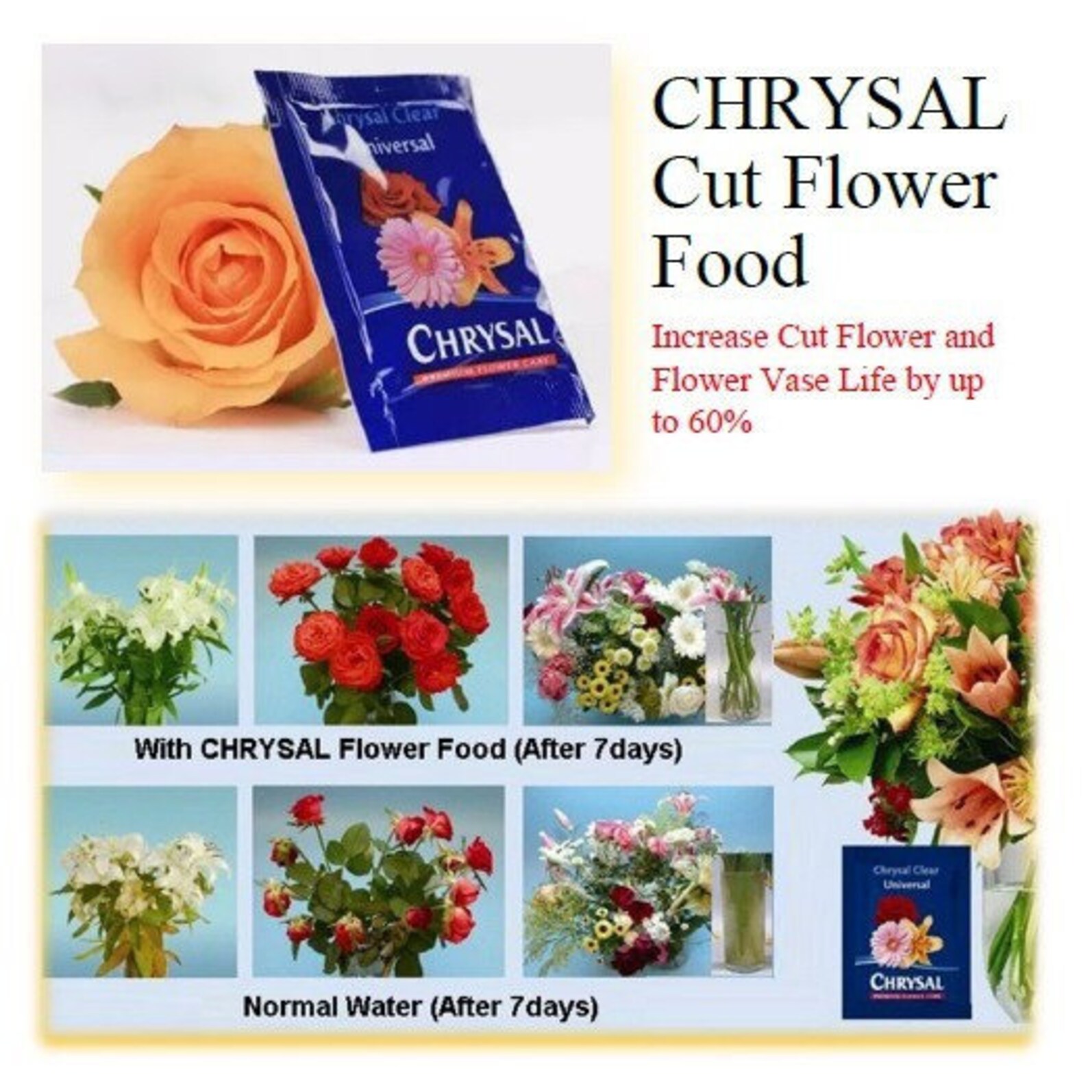 100 Pack Chrysal Clear Universal Flower Food Etsy