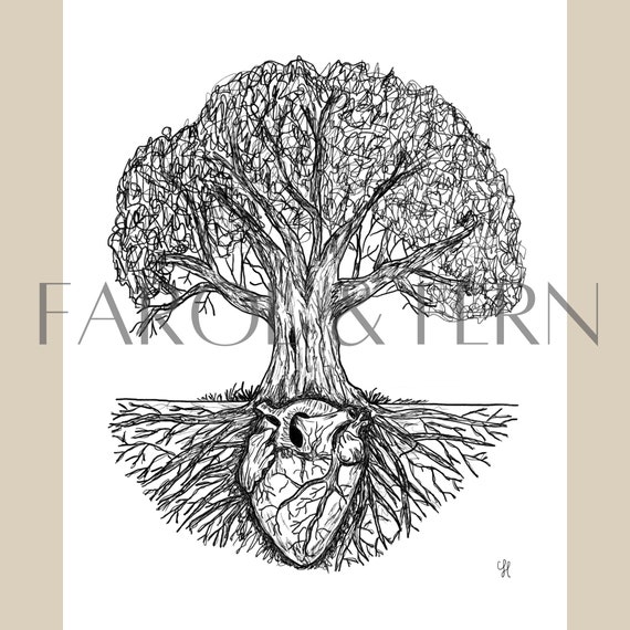 Root Tree Drawing Clip Art, PNG, 909x910px, Root, Branch, Drawing, Fibrous  Root System, Fruit Tree Download