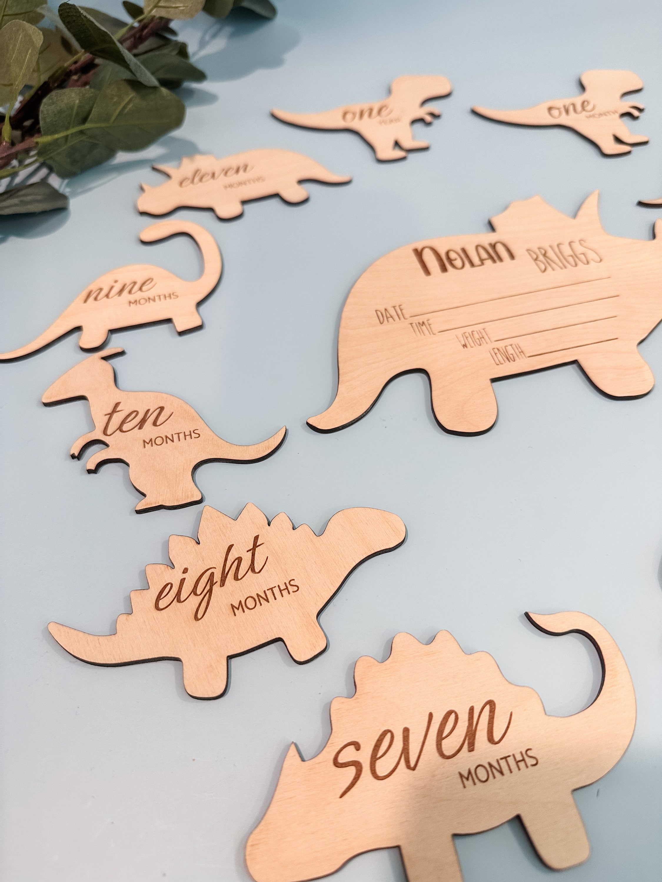 Dinosaur Milestone Discs | Wooden Baby Birth Announcement, Shower Gift ...