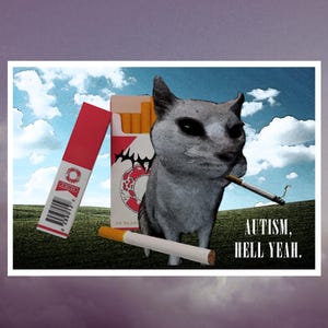 May include: A digital art print featuring a gray cat with a cigarette in its mouth, standing in front of a pack of cigarettes. The text "AUTISM, HELL YEAH." is displayed in white. The background shows a blue sky and green field.
