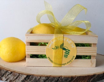 Sunshine Citrus Lemon Soap Gift Set/ Lemon soap/ citrus soap/ soap gift set/ Italian lemon soap/ Foodie Soap/ Mother’s Day Gifts/ fruit soap