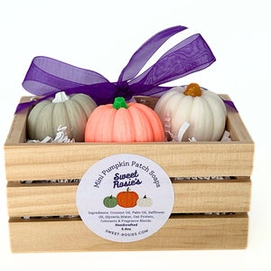 Mini Pumpkin Patch Soaps /Fall Soap/Pumpkin Soap/ Pumpkin Spice/ Fall Gifts/ Halloween/ Thanksgiving Gifts/Hostess Gifts/ Soap Party Favors/