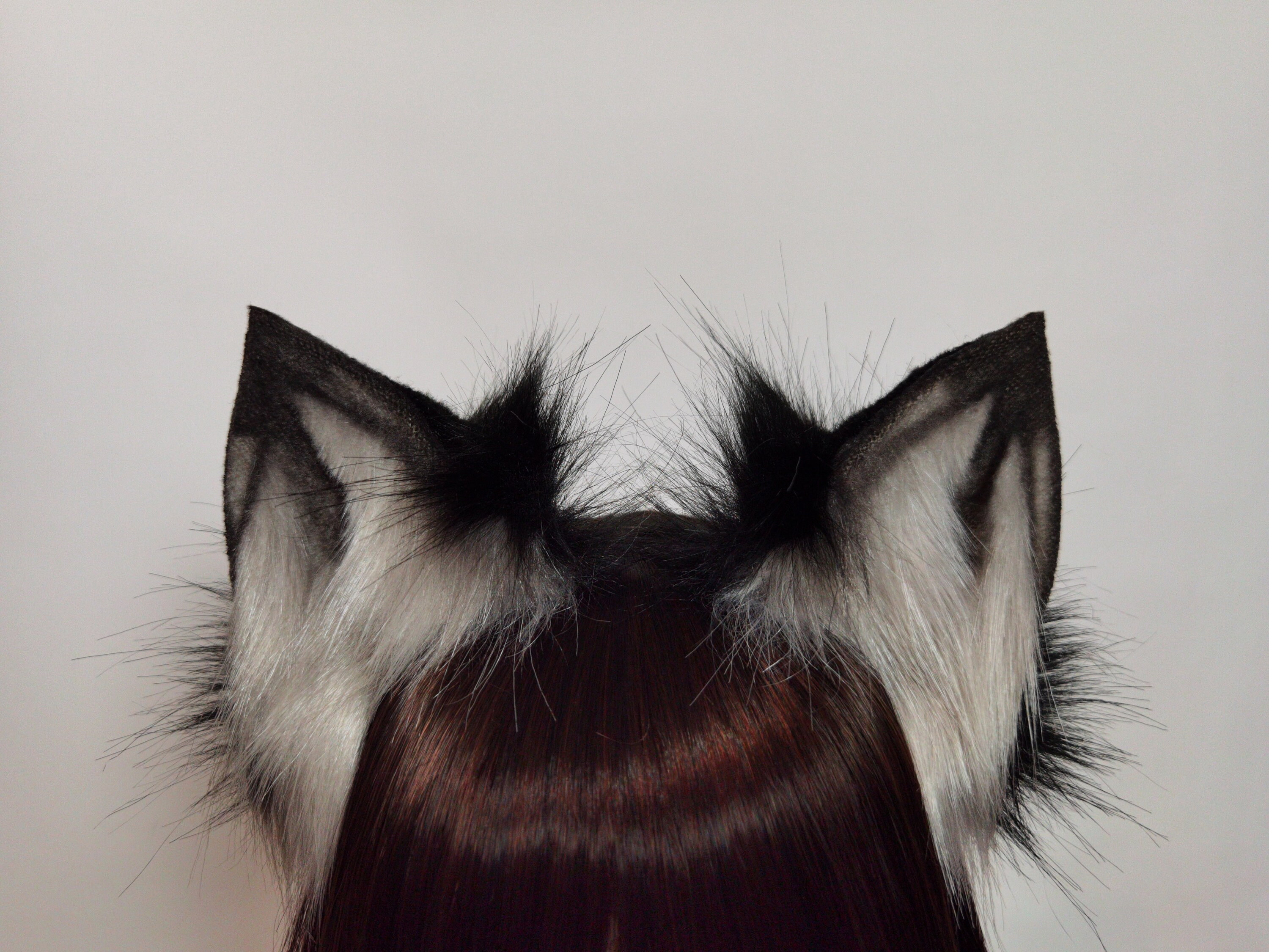 black wolf ears black wolf ears