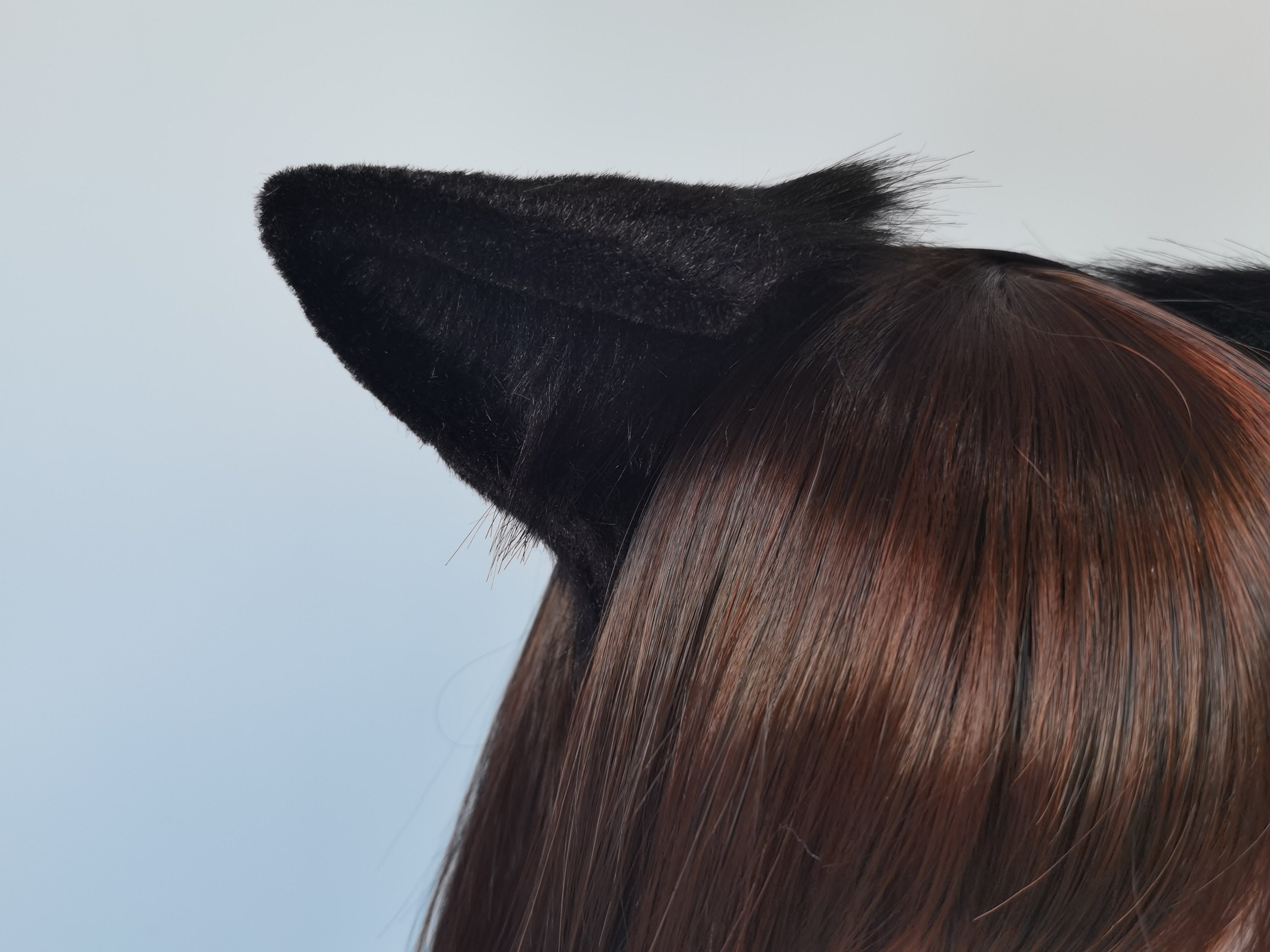 black wolf ears black wolf ears