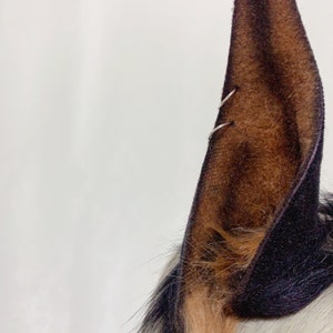Black Brown Doberman Pinscher Animal Ears Headband with the Hoops,Halloween Beast Ears Headband Cosplay,Video Game Role Ghost Ears image 4