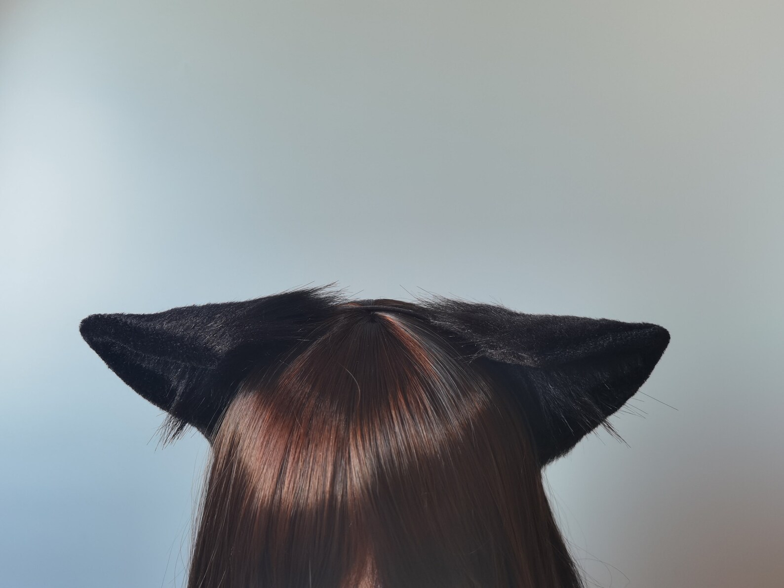 black wolf ears black wolf ears