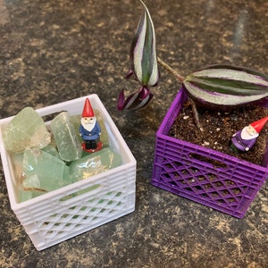 Könnte beinhalten: Zwei kleine weiße und violette Kisten mit einer Zwergenfigur in jeder. Die weiße Kiste enthält grüne Edelsteine und die violette Kiste enthält eine kleine grüne Pflanze mit gestreiften Blättern.