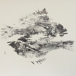 Black Ink Fish Print - Reflections - Etsy