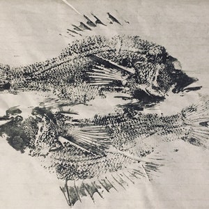 Black Ink Fish Print - Reflections - Etsy